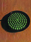 optica verde semaforo